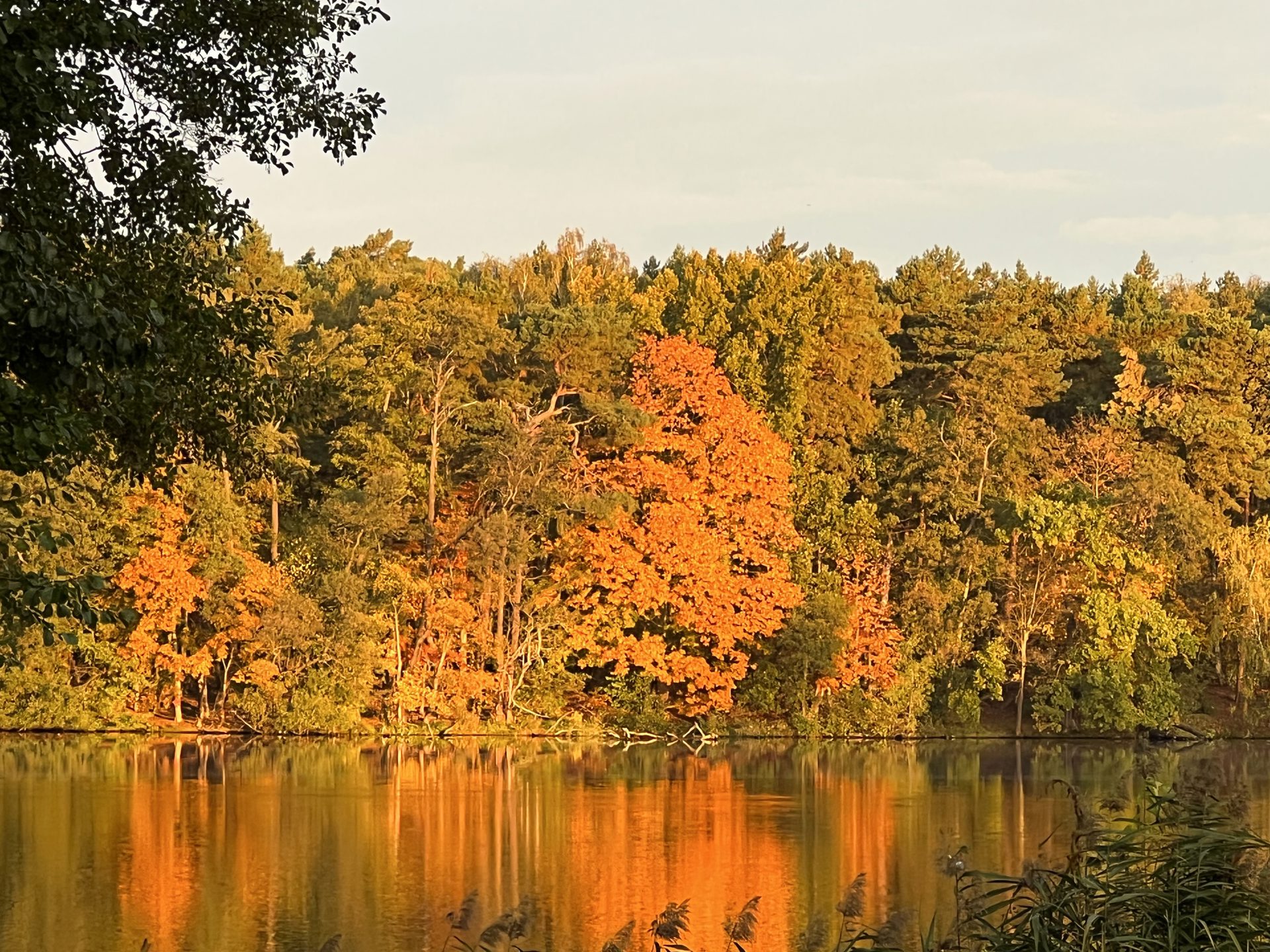 Herbstmorgen am Großen Zug – Seeblick von der Designvilla Niederlehme im Dahme-Seenland