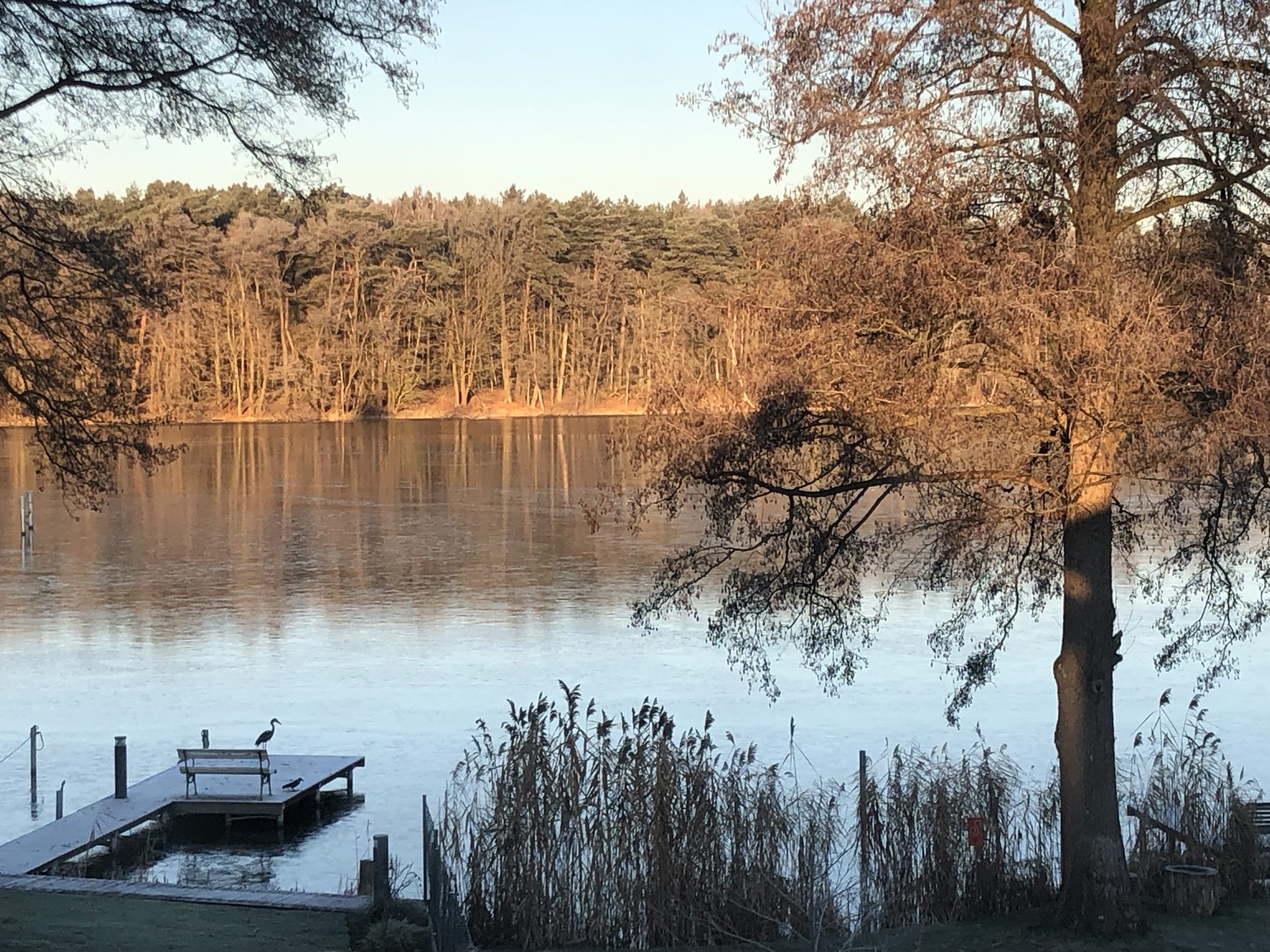 Herbstgarten Designvilla Niederlehme – Garten mit Seeblick Brandenburg