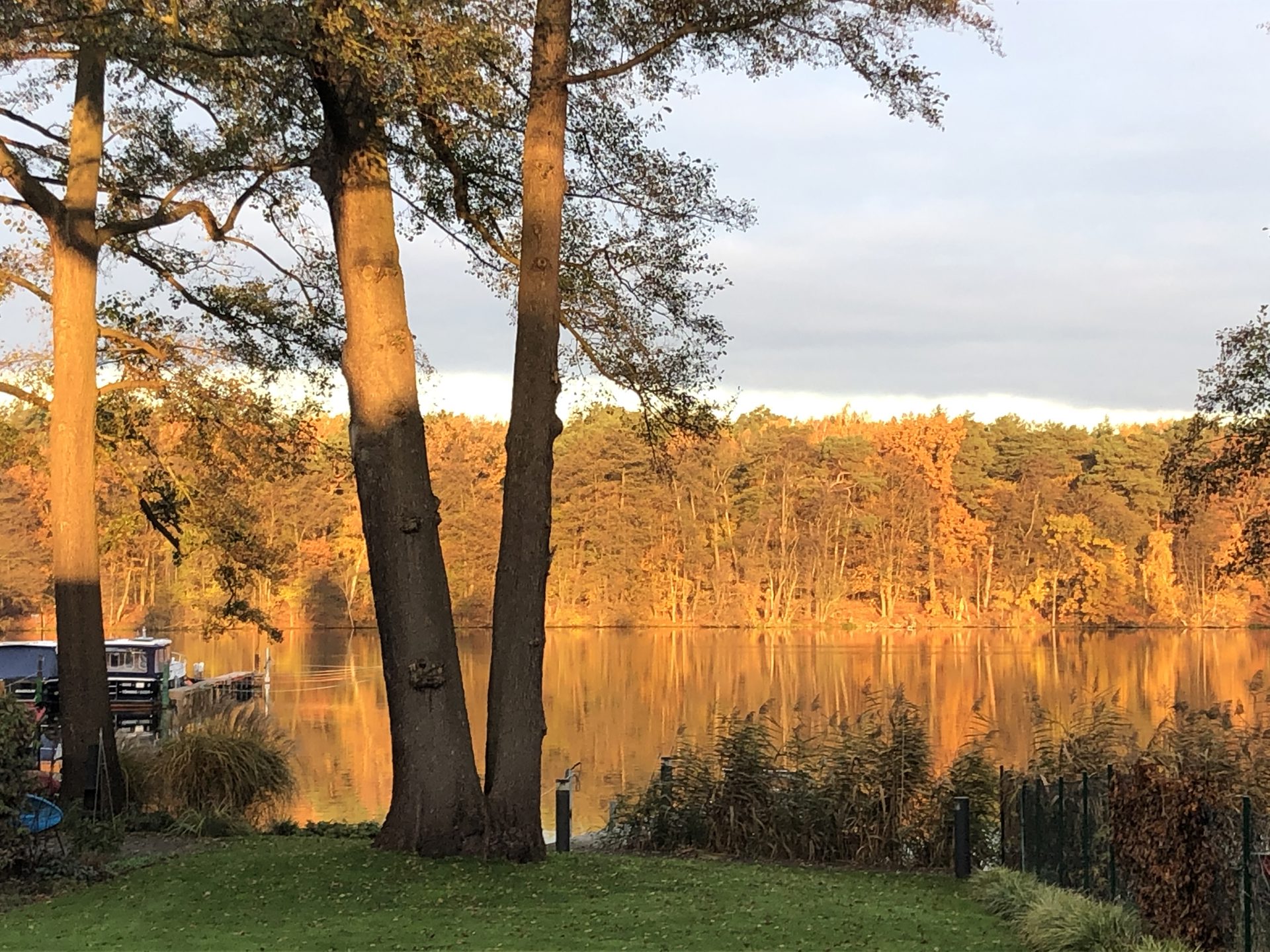 Uferblick im Herbst – Seehaus Königs Wusterhausen Wasserlage